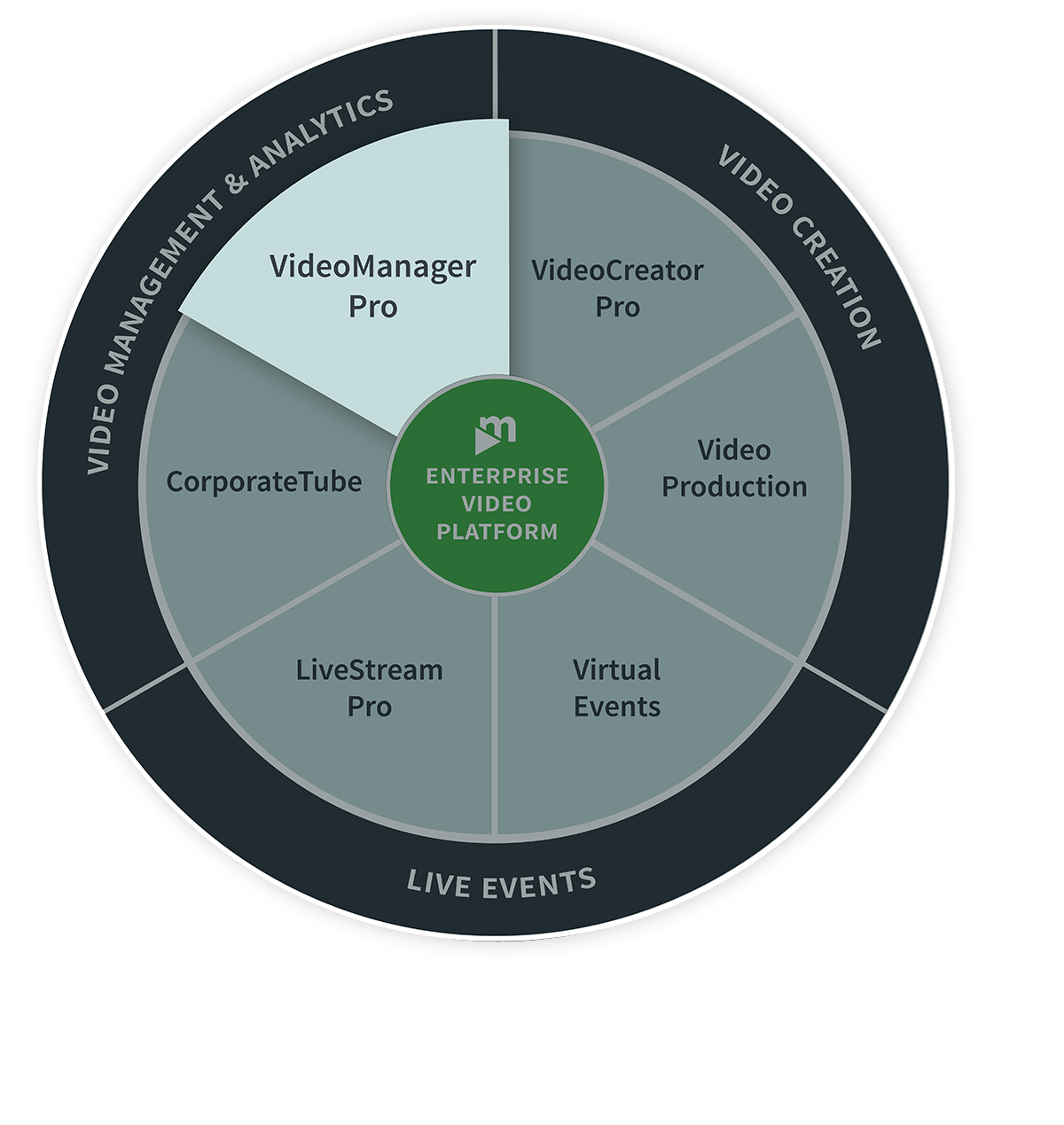 screenshot of Enterprise Video Platform